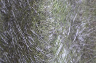 Wilmslow fibreglass roof work